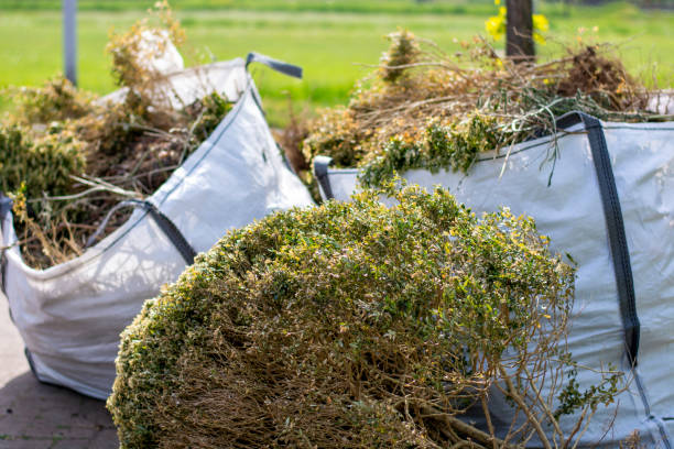Best Dumpster Rental Services  in Sellersburg, IN
